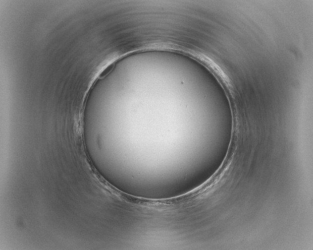 X0000116161097200912071319