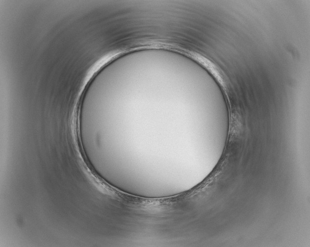 X0000116161098200912071319