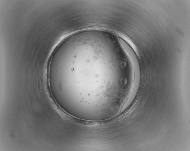 X0000116161099200912071319