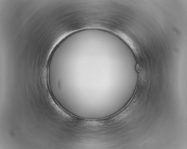 X0000116161100200912071319