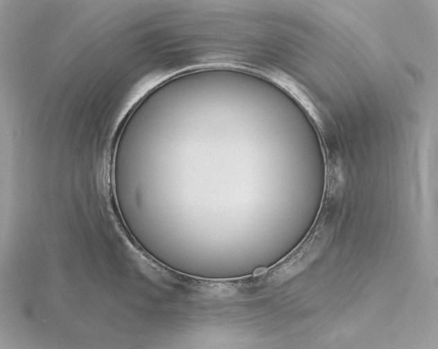 X0000116161101200912071319