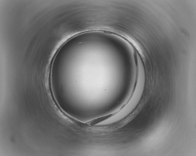 X0000116161102200912071319