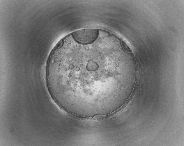 X0000116161103200912071319