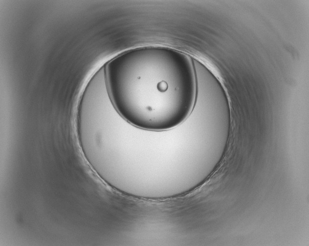 X0000116161104200912071319