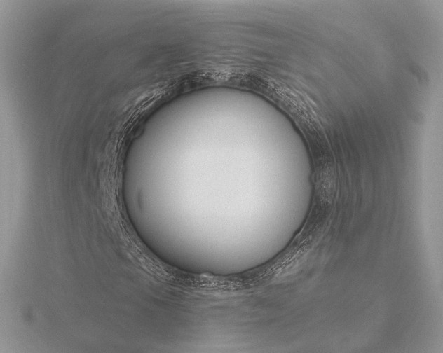 X0000116161105200912071319