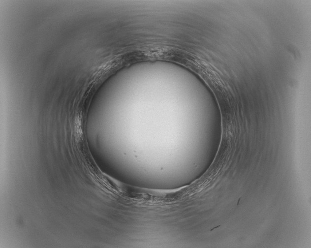 X0000116161106200912071319