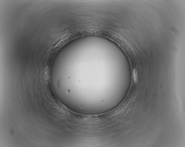 X0000116161107200912071319