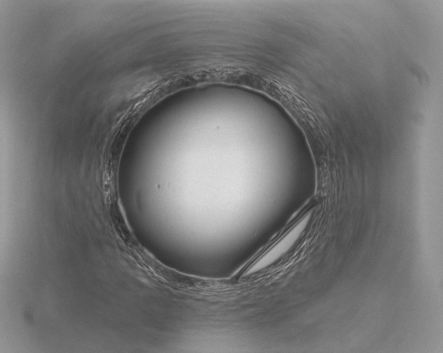 X0000116161109200912071319