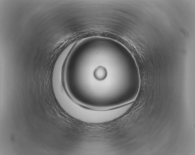 X0000116161110200912071319