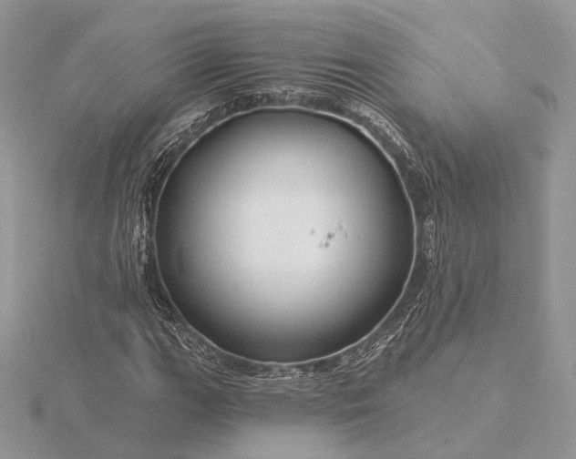 X0000116161111200912071319