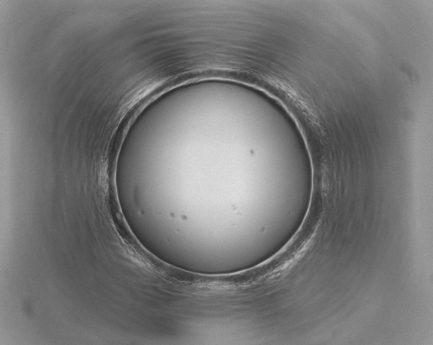 X0000116161113200912071319