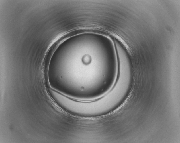 X0000116161114200912071319