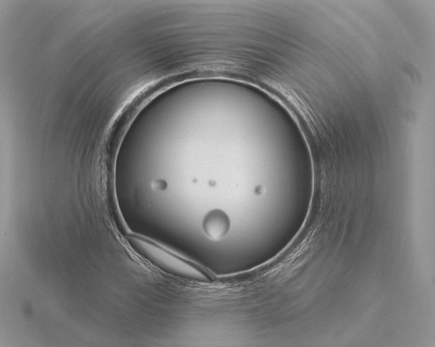 X0000116161115200912071319