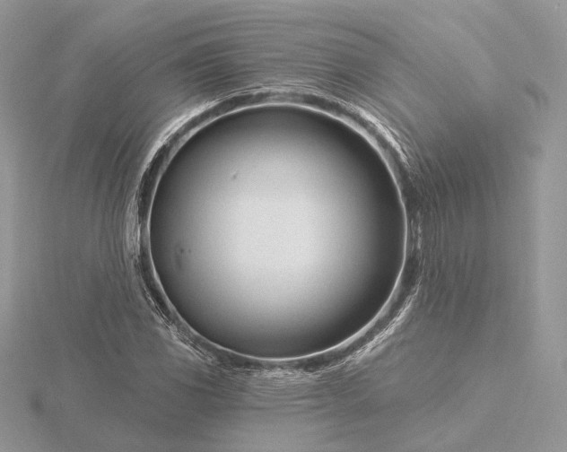 X0000116161117200912071319