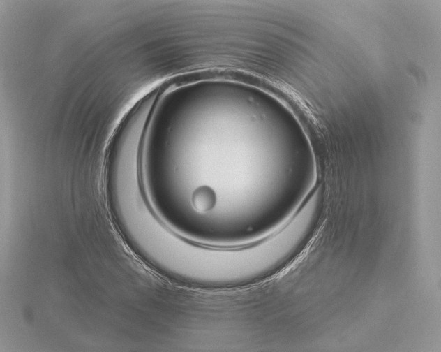 X0000116161118200912071319