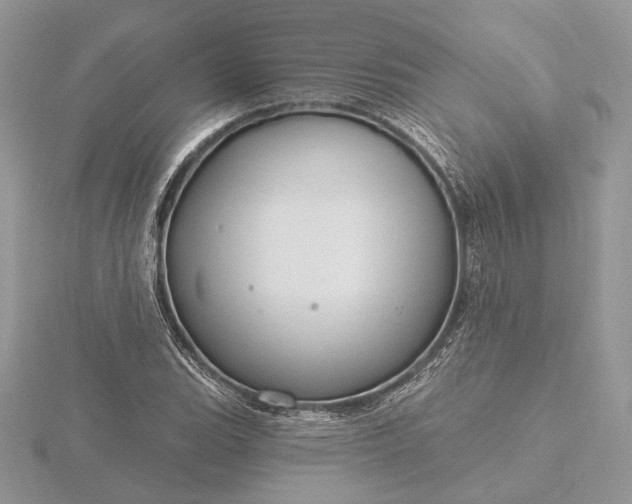 X0000116161119200912071319