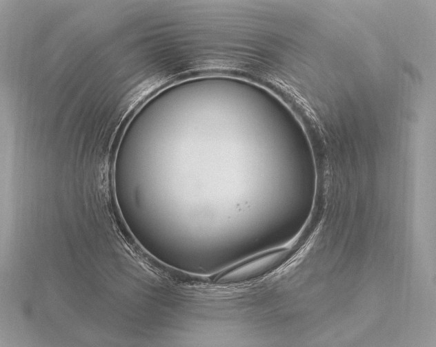 X0000116161121200912071319