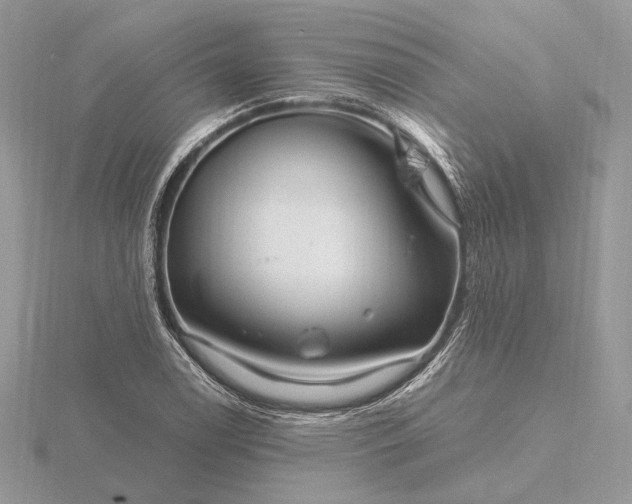 X0000116161122200912071319