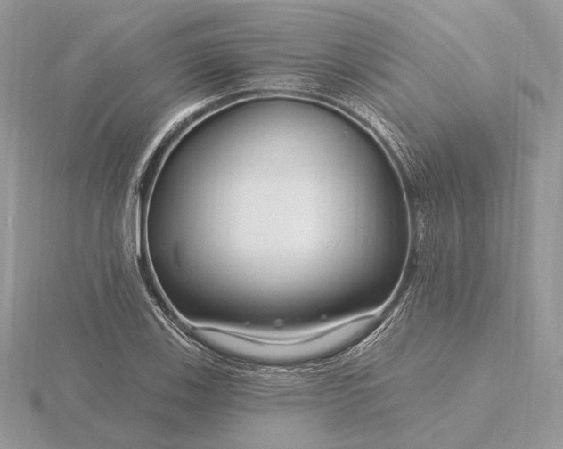 X0000116161123200912071319