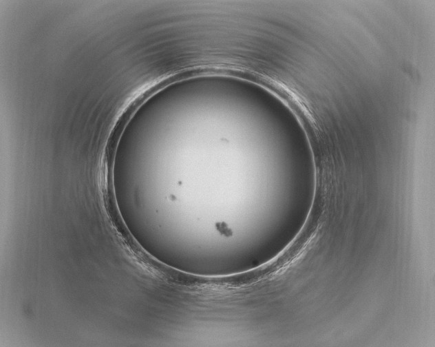 X0000116161125200912071319