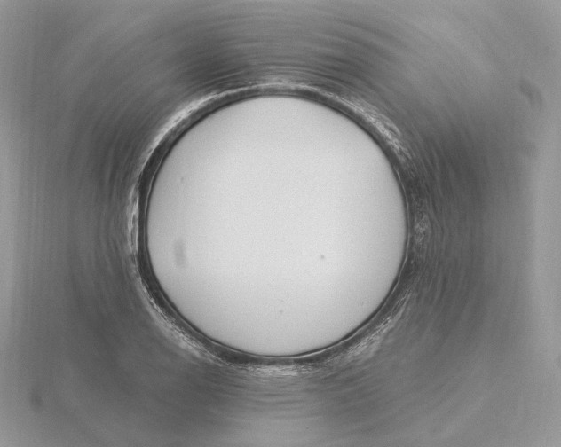 X0000116161126200912071319