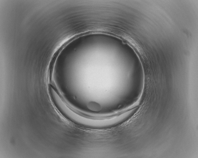 X0000116161127200912071319