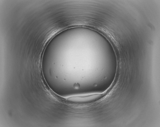 X0000116161129200912071319