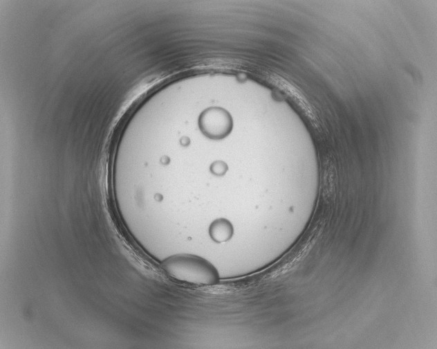 X0000116161130200912071319