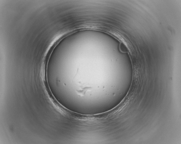 X0000116161131200912071319