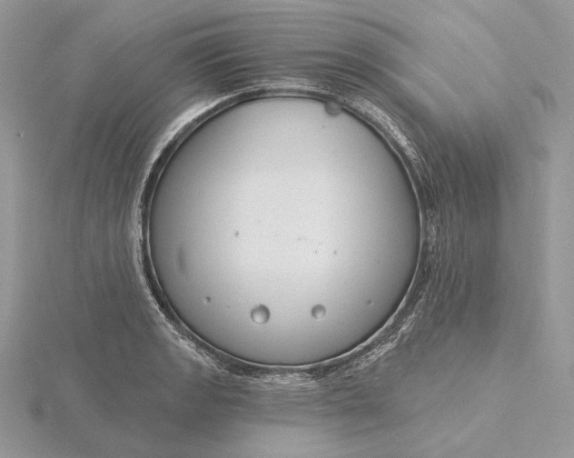 X0000116161133200912071319