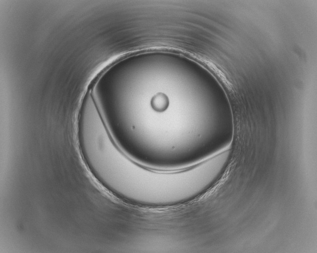 X0000116161134200912071319