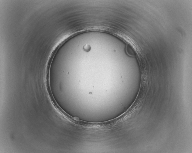 X0000116161135200912071319