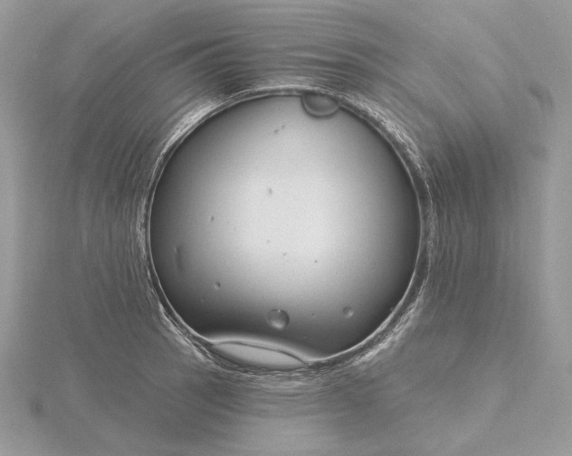 X0000116161137200912071319