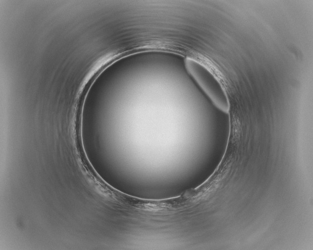 X0000116161138200912071319