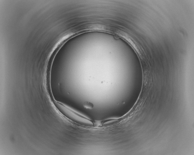 X0000116161139200912071319