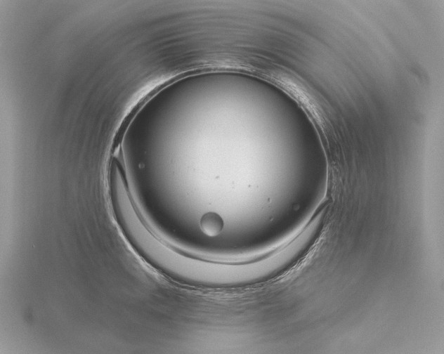 X0000116161141200912071319