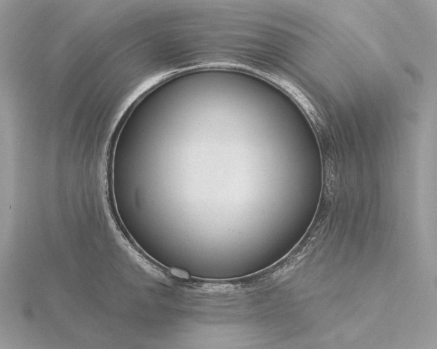 X0000116161142200912071319