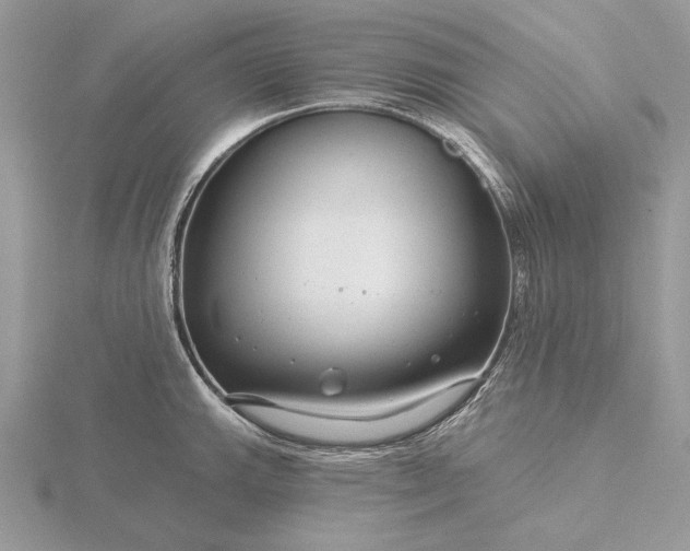 X0000116161143200912071319