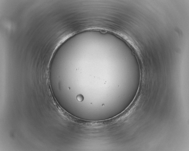 X0000116161145200912071319