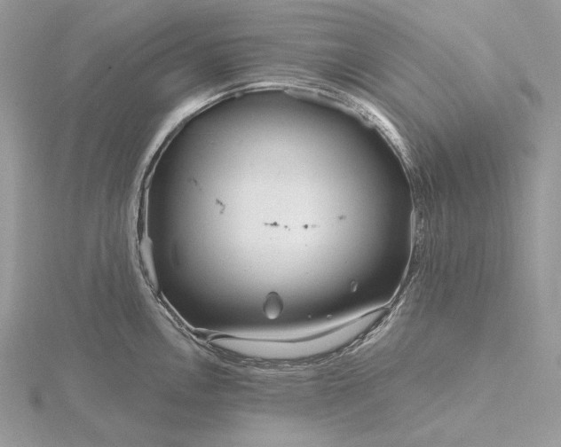 X0000116161146200912071319