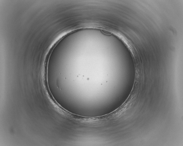 X0000116161147200912071319