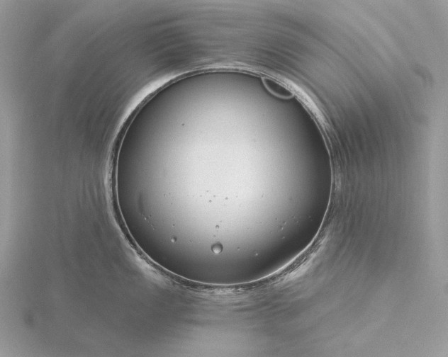 X0000116161149200912071319