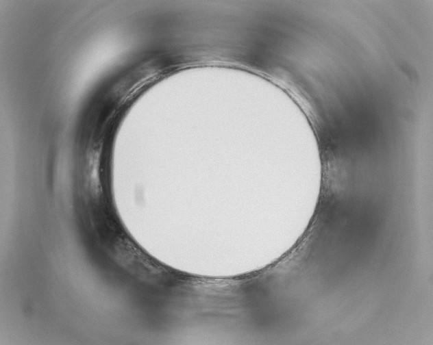 X0000116161150200912071319