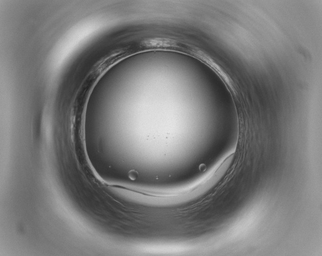 X0000116161151200912071319