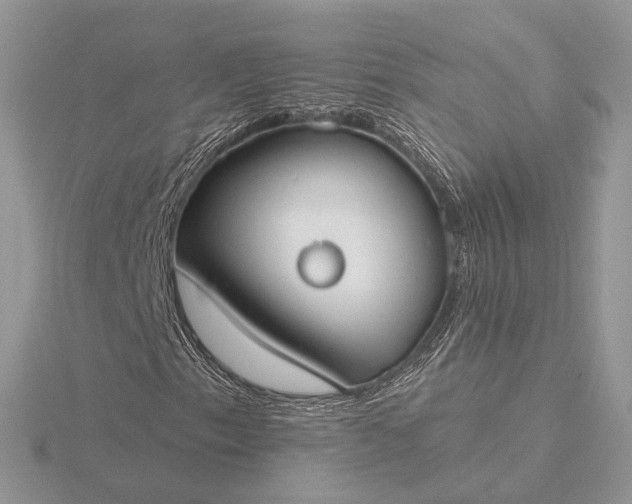 X0000116161153200912071319