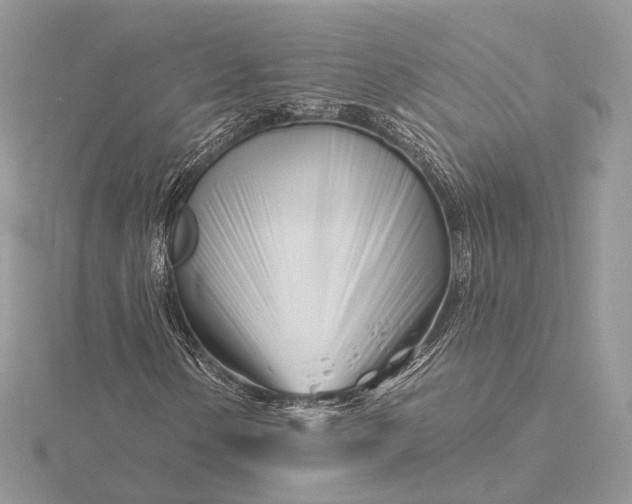 X0000116161154200912071319