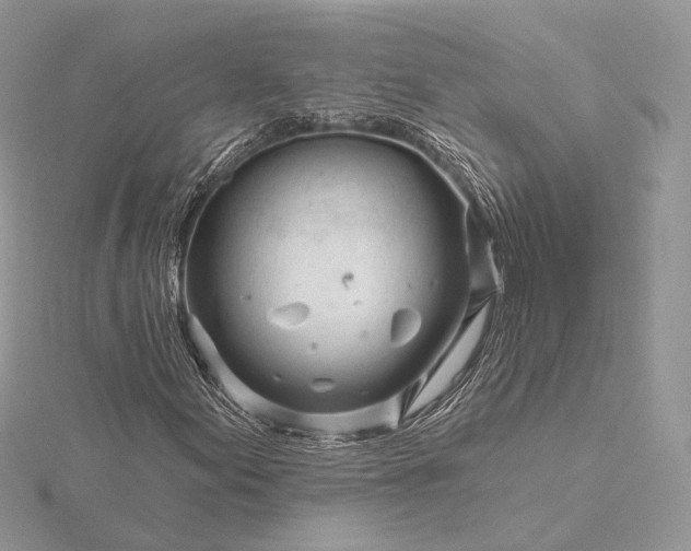 X0000116161155200912071319