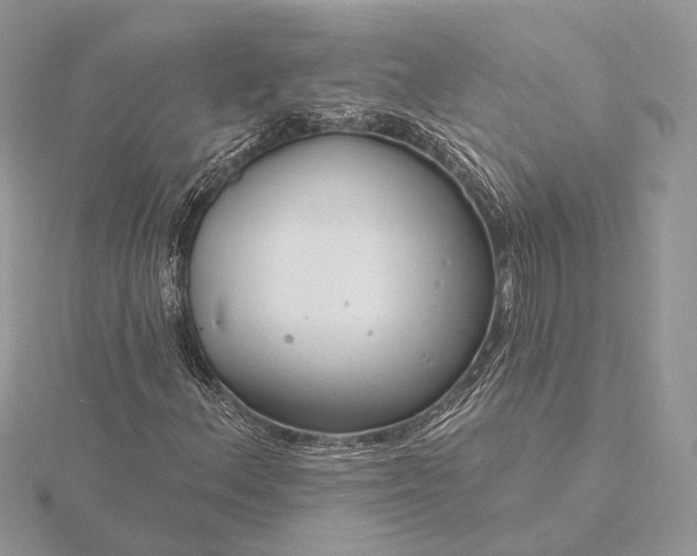 X0000116161156200912071319