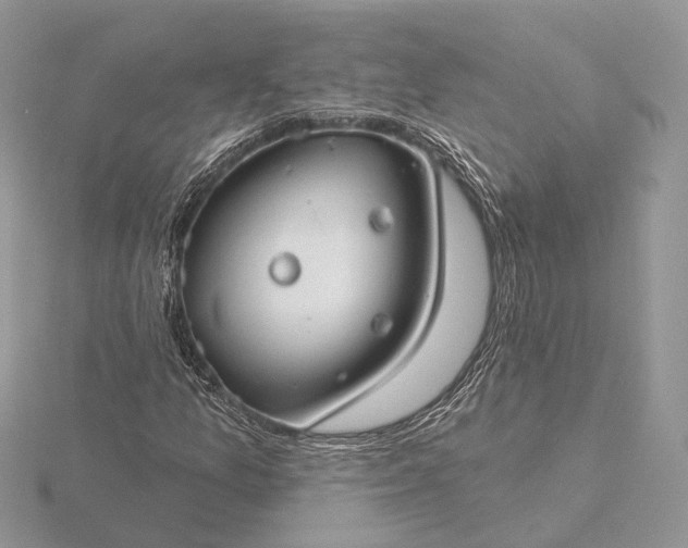 X0000116161157200912071319