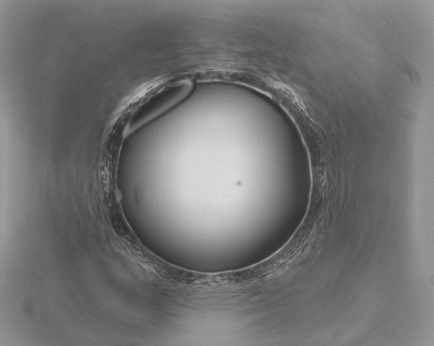 X0000116161159200912071318